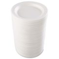 Classic Laminated Foam Dinnerware- 9" Plates - Image 3