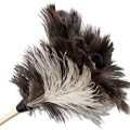 Professional Ostrich Feather Duster - Image 2