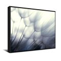 DR1410 Artwork w/ Canvas Gallery Wrap with Floater Frame - Image 2