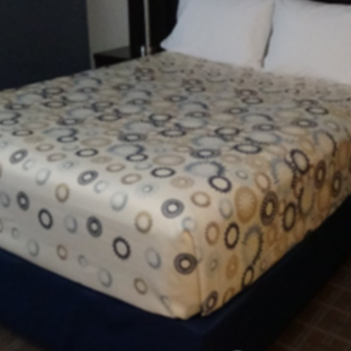 Le Cirque Decorative Top Sheet -King