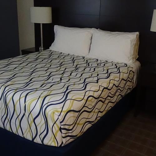 110x96 King "Helix Wavy Line" Decorative Top Sheet