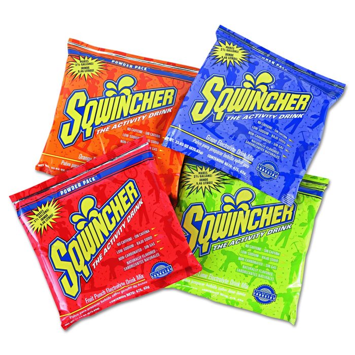 150383 Powder Pack Concentrated Activity Drink, Assorted, 23.83 oz Packet, Yields 2.5 Gallons per Packet, 32/Carton - Image 1