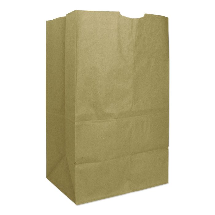 639940 Grocery Paper Bags, 20# Squat Size, Heavy-Duty, 50# Basis Weight, 8.13" x 5.88" x 12.5", Kraft, 500/Bundle - Image 1