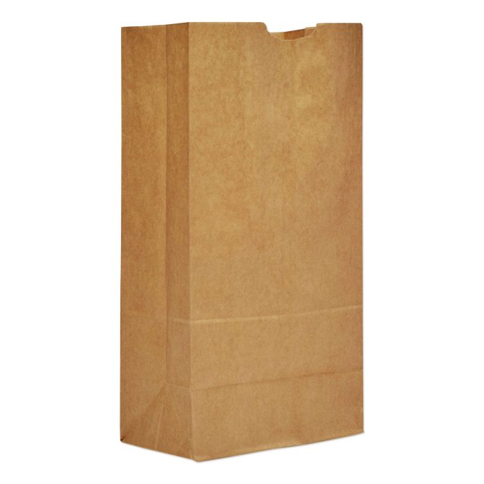 639893 Grocery Paper Bags, 20# Size, 40# Basis Weight, 8.25" x 5.25" x 16.13", Kraft, 500/Bundle - Image 1