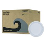 Hi-Impact Plastic Dinnerware, Plate, 10" Dia, White, 500/carton