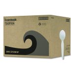 Heavyweight Polystyrene Cutlery, Spoon, Plastic, White, 1,000/Carton