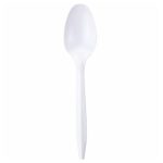 Spoons 1000/case