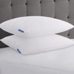 31oz Victoria Pillow with Nexus AM™ Standard Size