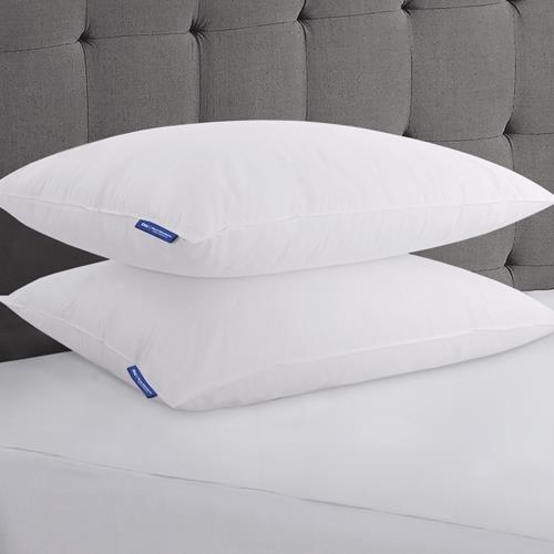 GD-BW-VIC-S-1 31oz Victoria Pillow with Nexus AM™ Standard Size - Image 1