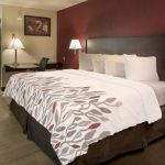 Red Roof Inn Queen Enchanted Leaves Coverlet