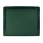 Plain Green Ice Tray