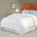 Full/Queen Micro fiber Duvet/Blanket