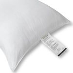 Dupont Dacron Standard Hollofill II Pillow