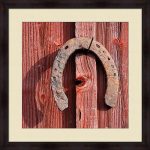 Horseshoe