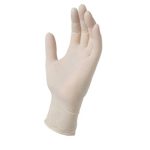 Powder Free Vinyl Gloves - Large