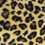 Closeout Patterned Carpet: Dark Leopard